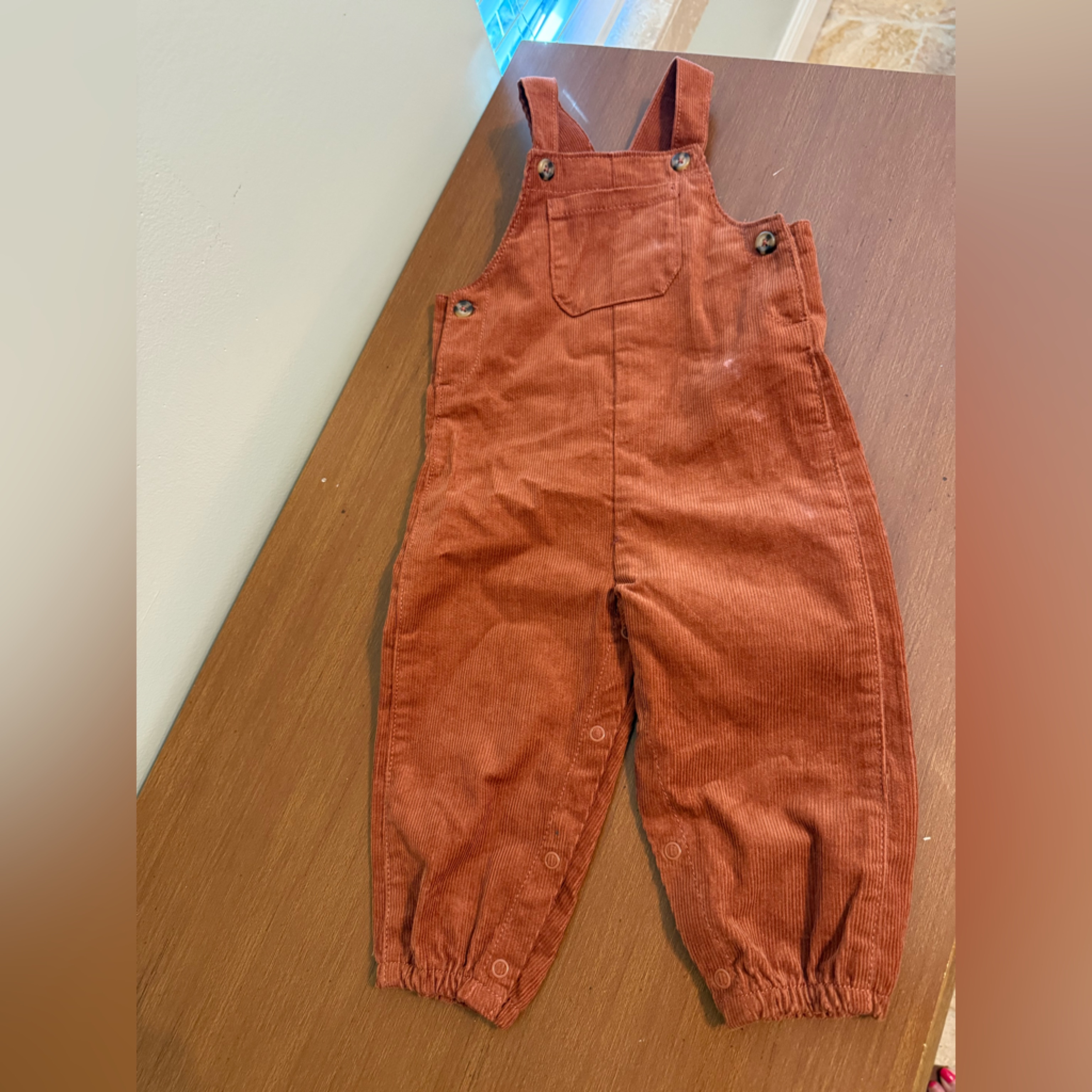 Carter's Brown Corduroy Overalls, Size 12m